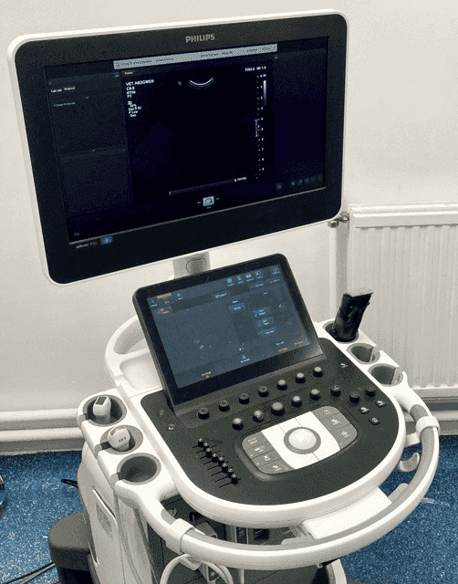 Pet Ultrasound