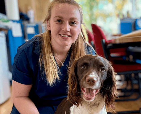 Animal Trust Vet Careers