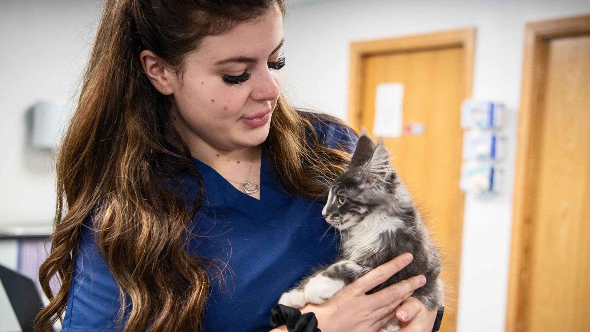 Cat Vaccination Guide