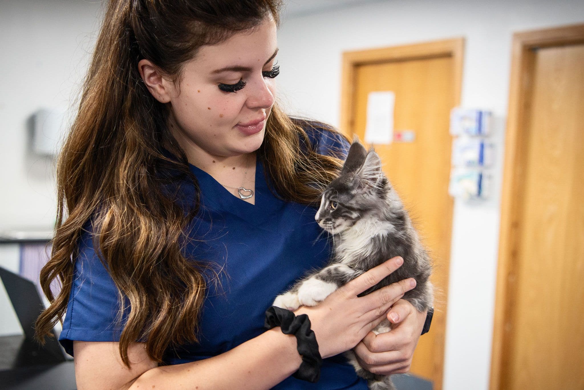 What to expect at a cat vaccination appointment