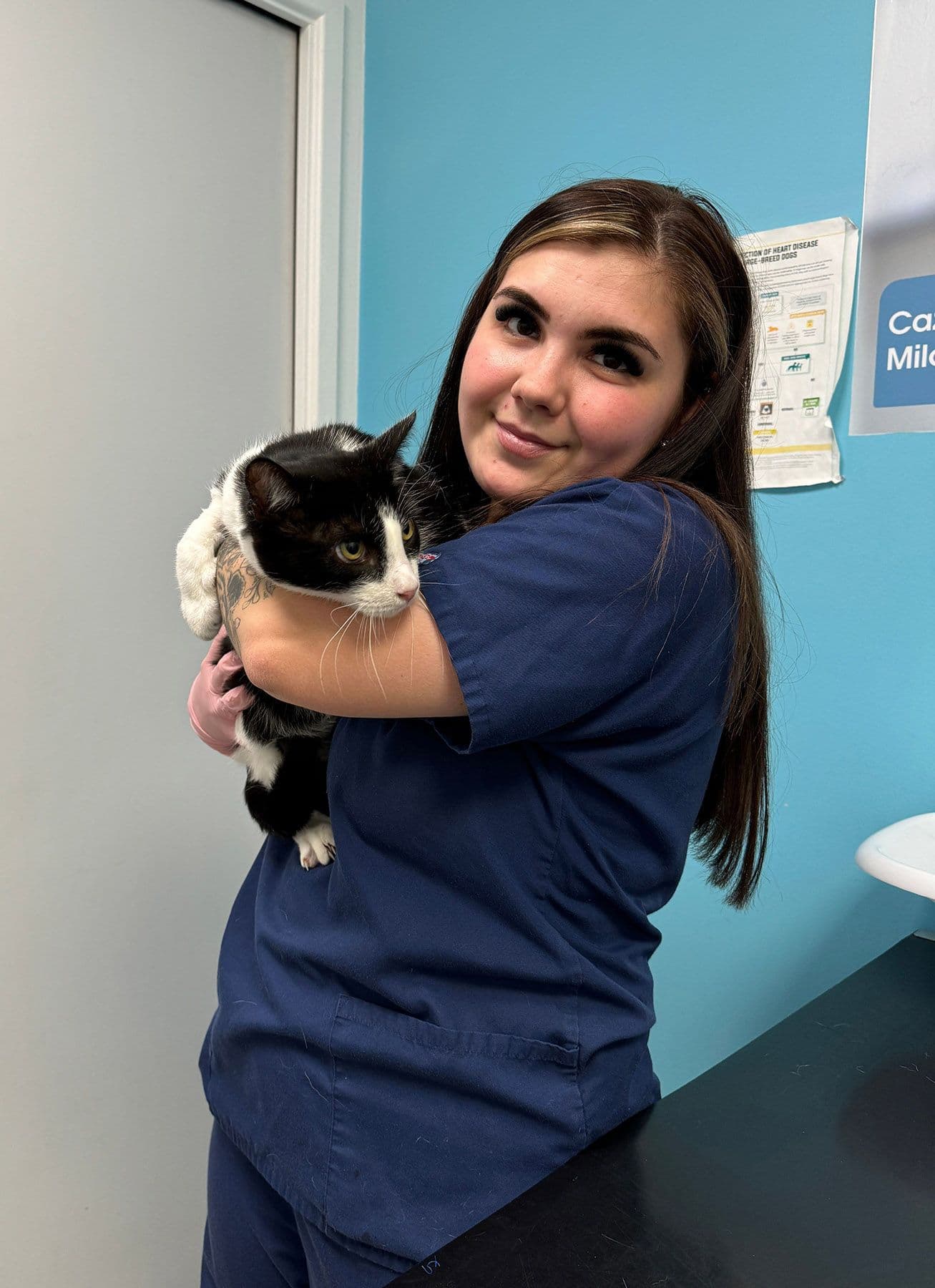 Animal Trust Ashton - Trusted Vets in Ashton-under-Lyne, Greater Manchester
