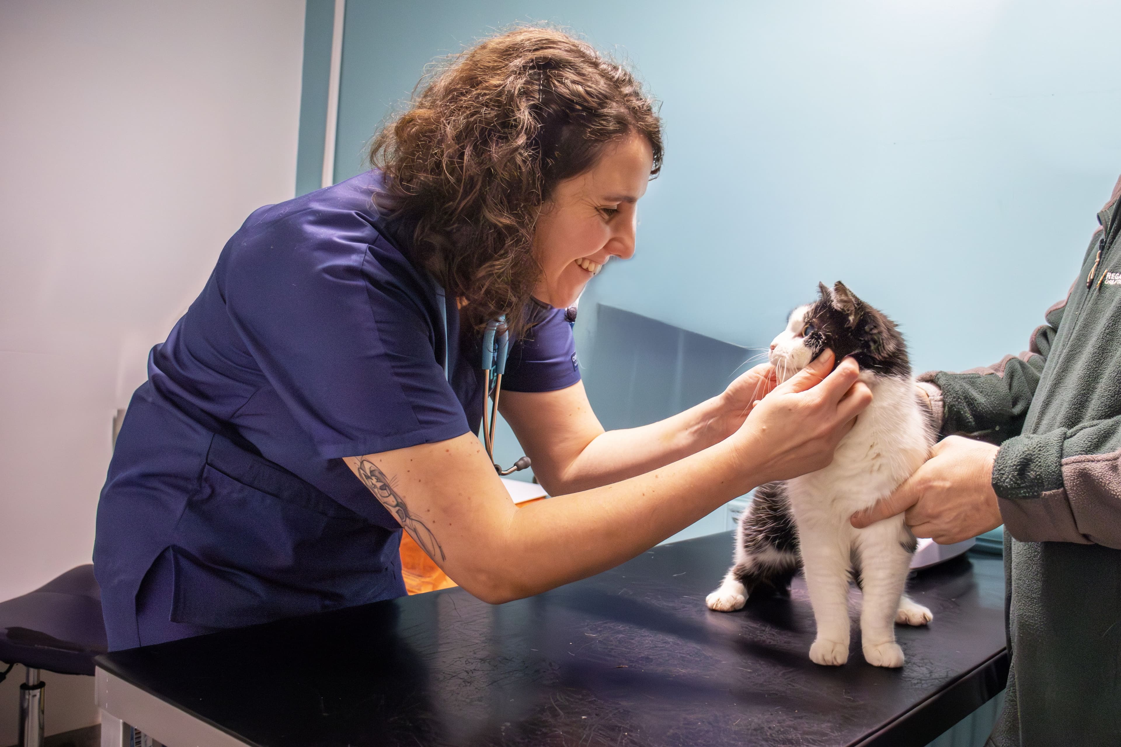 Core Vaccines for Cats