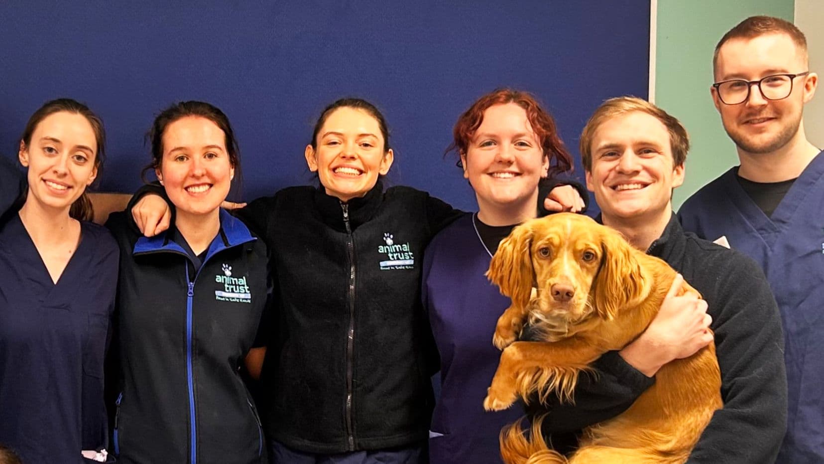 Animal Trust New Graduate Veterinary Programme