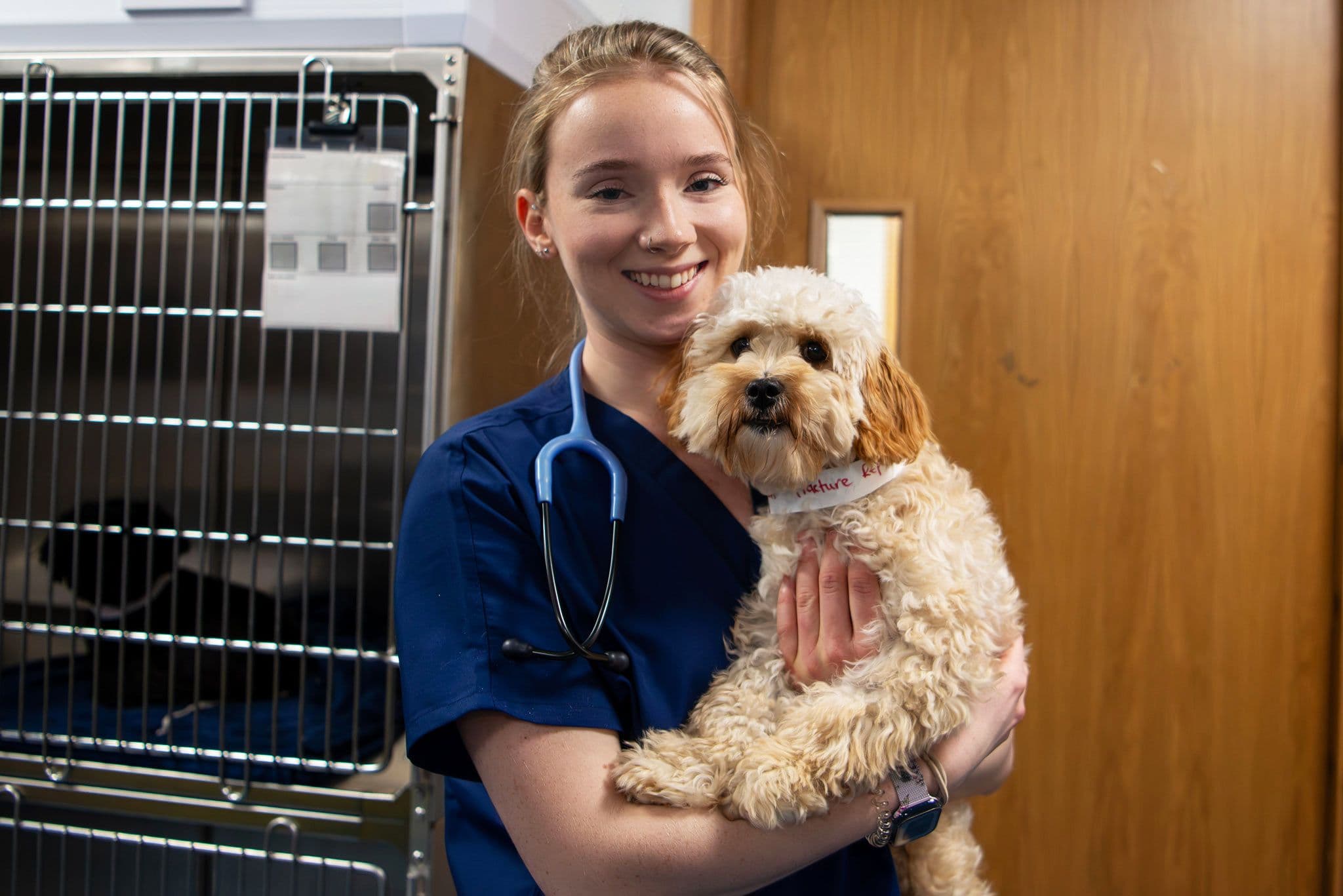 Animal Trust Vets in St Helens – Affordable Care for Your Pet