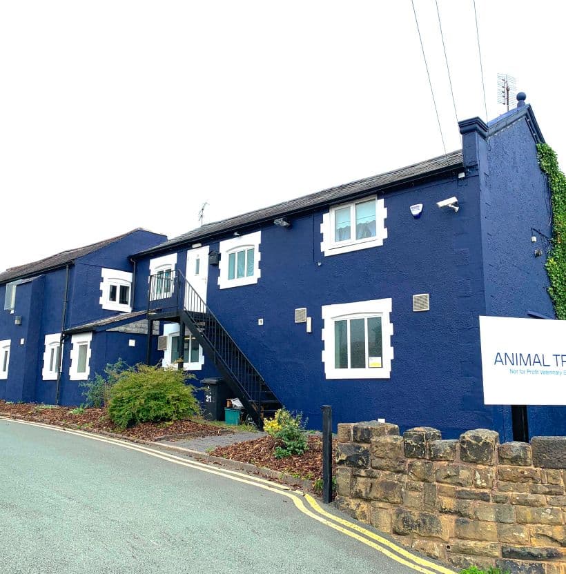 Animal Trust Vets Wrexham - Compassionate, Affordable Treatment