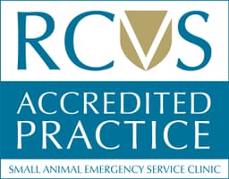 rcvs