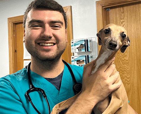 Registered Veterinary Nurse